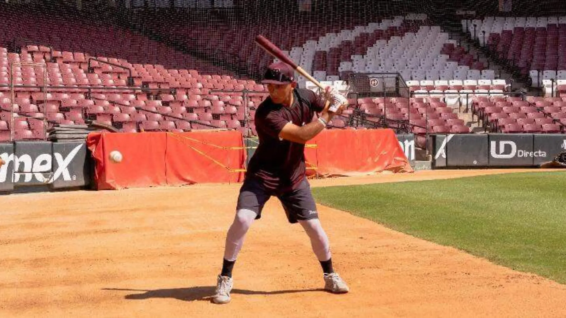 tomateros- entrenamiento